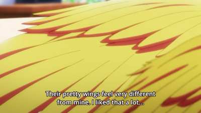 Monster Girl Review 