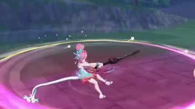 rozakopter