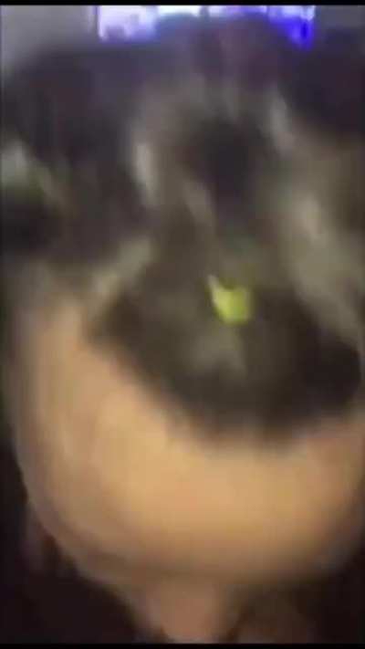 Jaylnmichelle - Video #7623