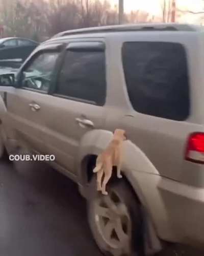 Oh nooooooooo