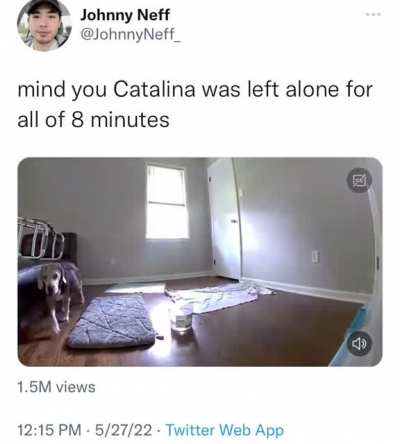 rule