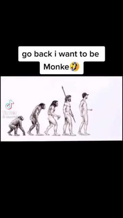 Monke 🐵🐵🐵🐵