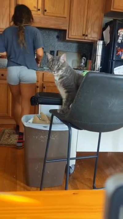 Butt and pussy