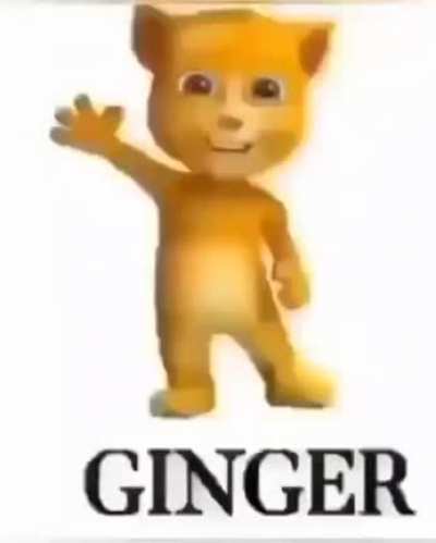 Nig... 😰