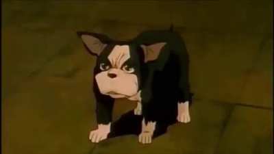 AAAAAA