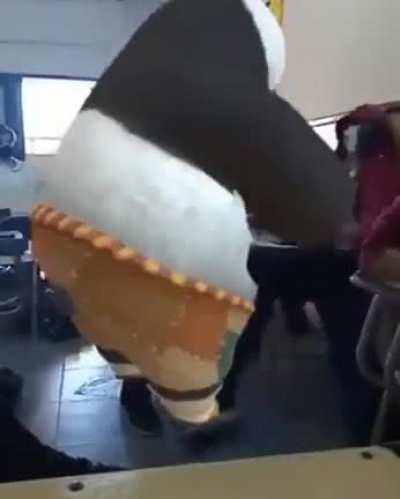 Kun fu puchda
