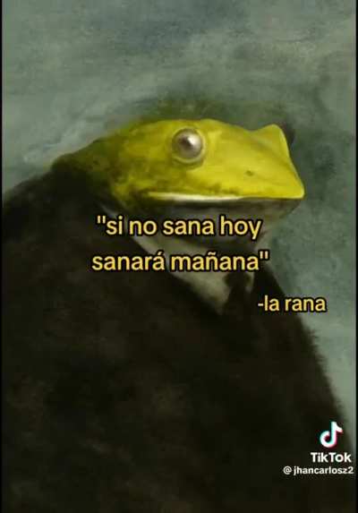 &eth;&cedil;