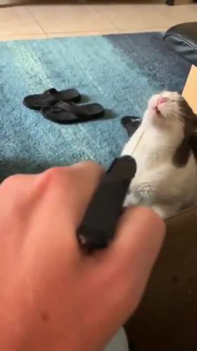 stick em up