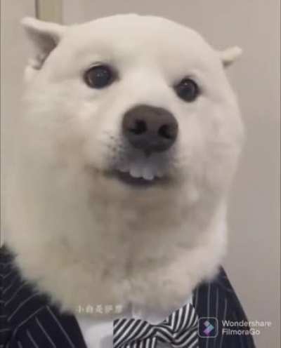 Goodest derp boy