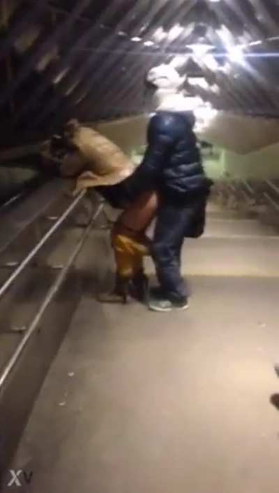 Public sex gone wrong