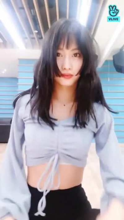 HIRAI MOMO
