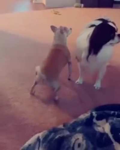 Found this in 9gag