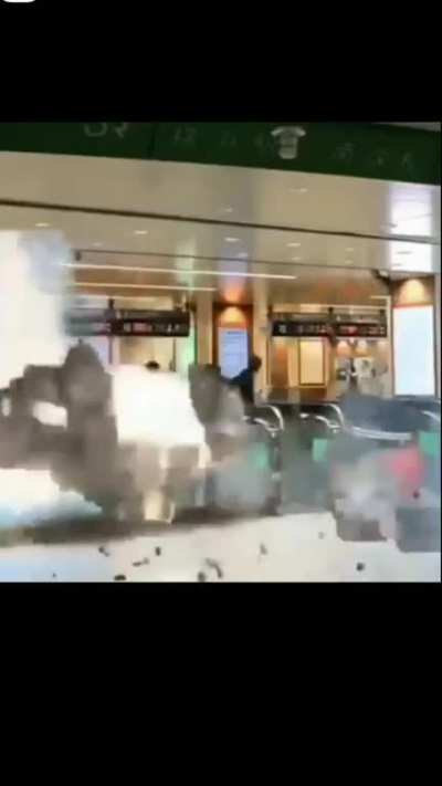 Cat going to office 