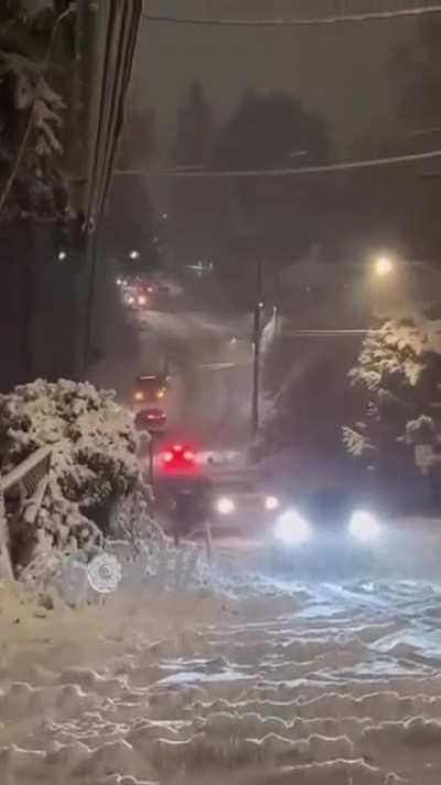 Kinda snowy here in the great white north