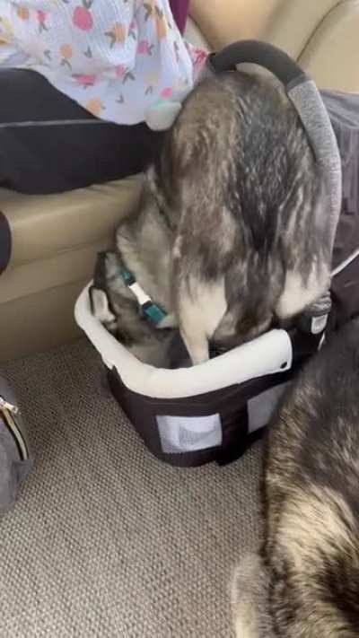 This is mine now!