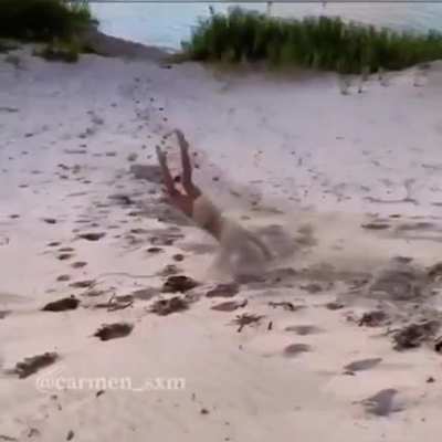 HMC while I imitate tumbleweed