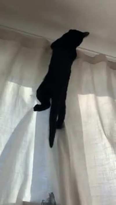 Catch!