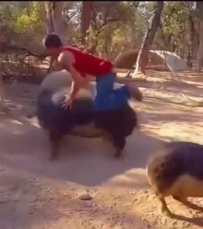 Quando a tua mota n&atilde;o pega e t&aacute;s atrasado para um date ...