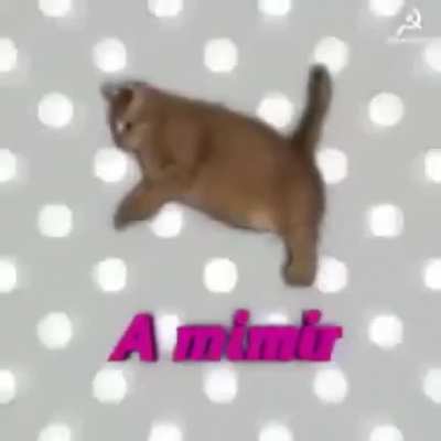 Mimi