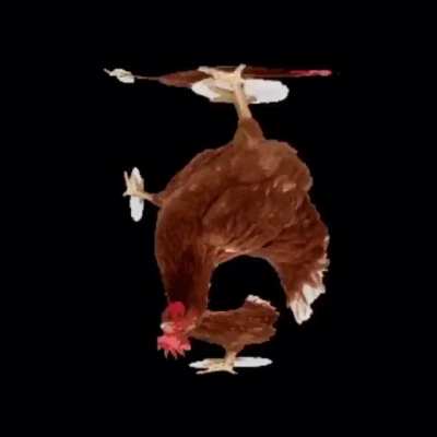 Chicken Cube: