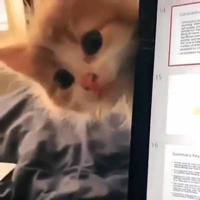&amp;lt;3!