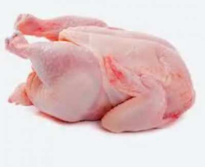 Scout turns into chicken, thats all