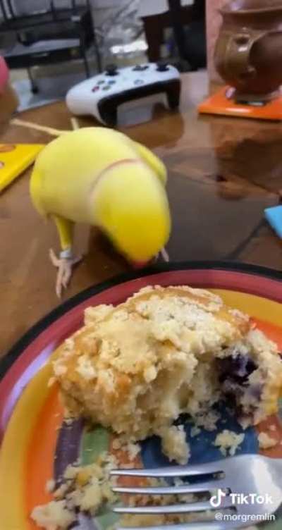 WiggleBirb