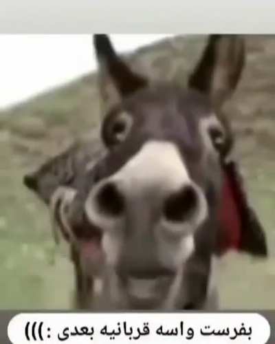 😂&hearts;️&hearts;️&hearts;️&hearts;️