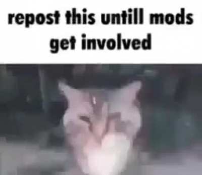repost