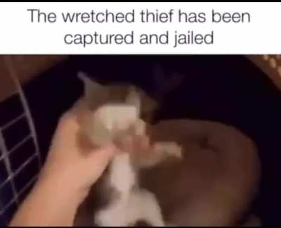 Justice