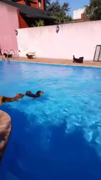 Time to have fun