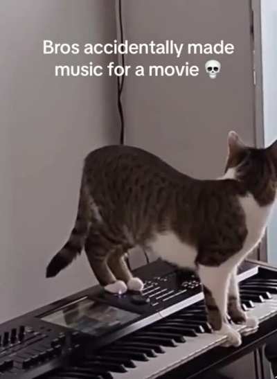 Cat Williams