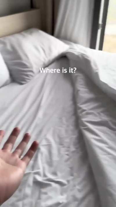 Cute