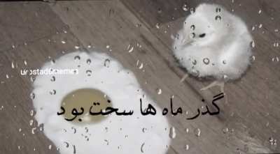 &zwnj;