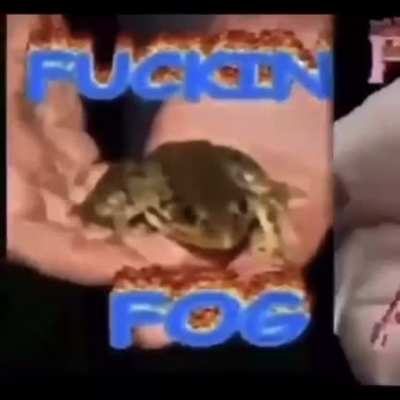 rule