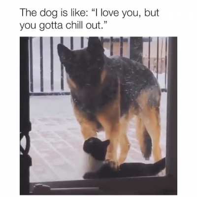 Someone is in love
