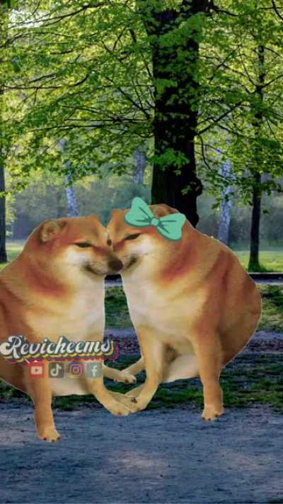 todo me gusta de Chims