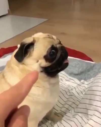 Nom