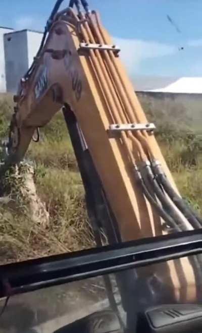 Man obliterates hornet&rsquo;s nest with a backhoe, then thinks it through.