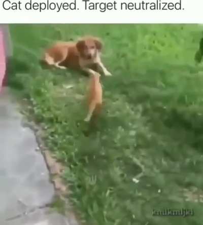 Is ded 