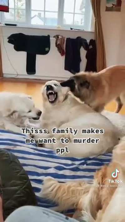 "Somebody come get they kids&rdquo;