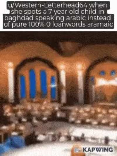u/Western-Letterhead64 be like: we are iraqis not arabs!
