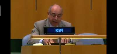 Egypt's Representative to the UN ended his speech with &ldquo;Hakuna Matata&rdquo;.