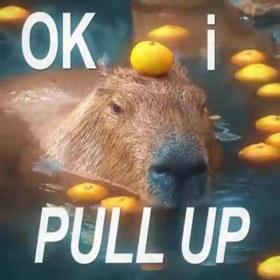 Capivara