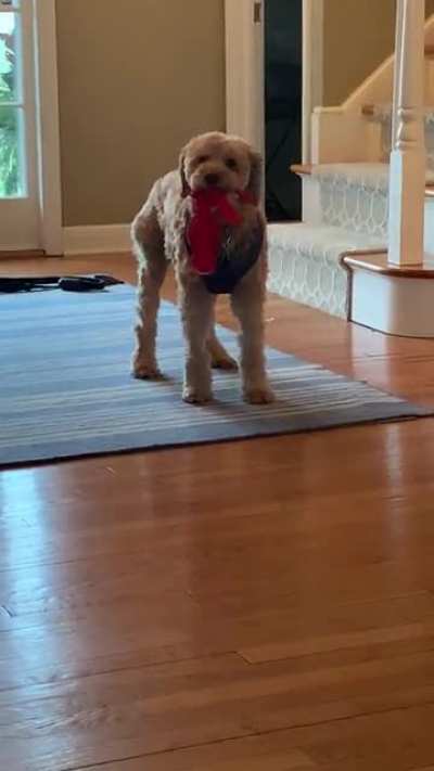 &ldquo;Oh, you want to see me play?&rdquo;