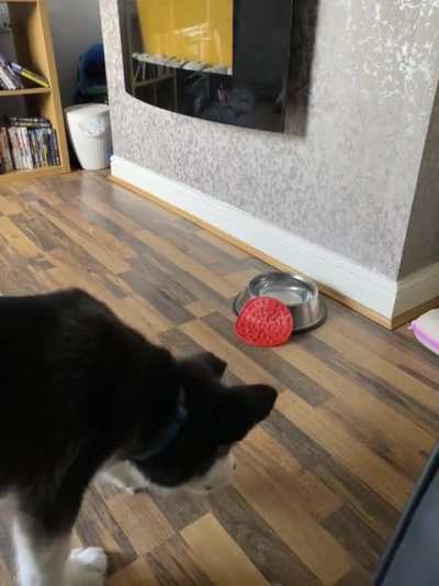 Does this count?