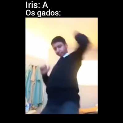 Gado nem &eacute; gente