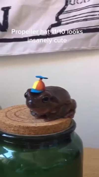 Frog!