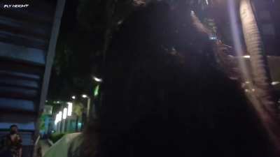 Livestreaming Tourist get's his chain snatched...