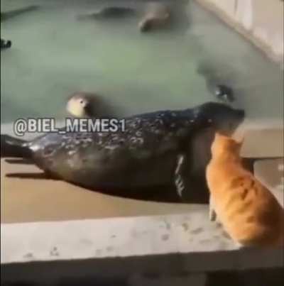 At&eacute; quando?😭